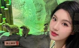 51app更新：来看看最新的吃瓜神评论，真是刷新我的三观！