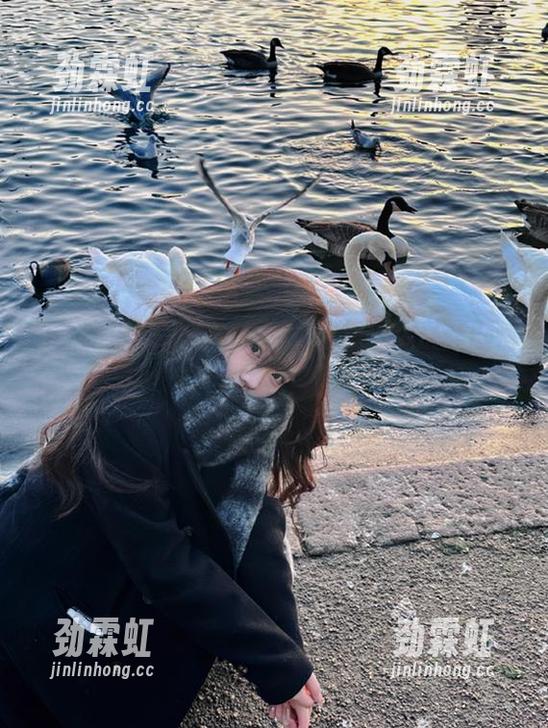 51吃瓜官网，在线捕捉最新剧情转折！