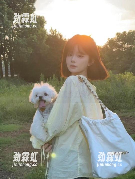 怎么又登录不上去？91icg是不是在跟我作对啊？