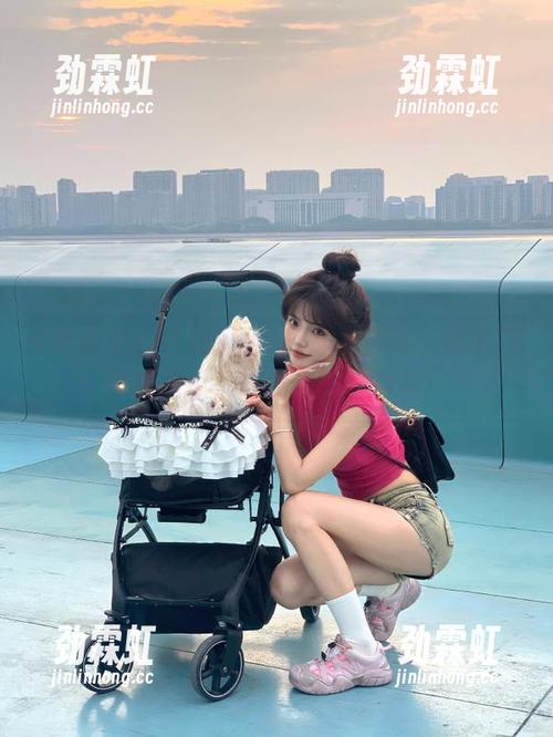 吃瓜不打烊大更新：老宅门前那碗瓜，让我们聊聊往事！