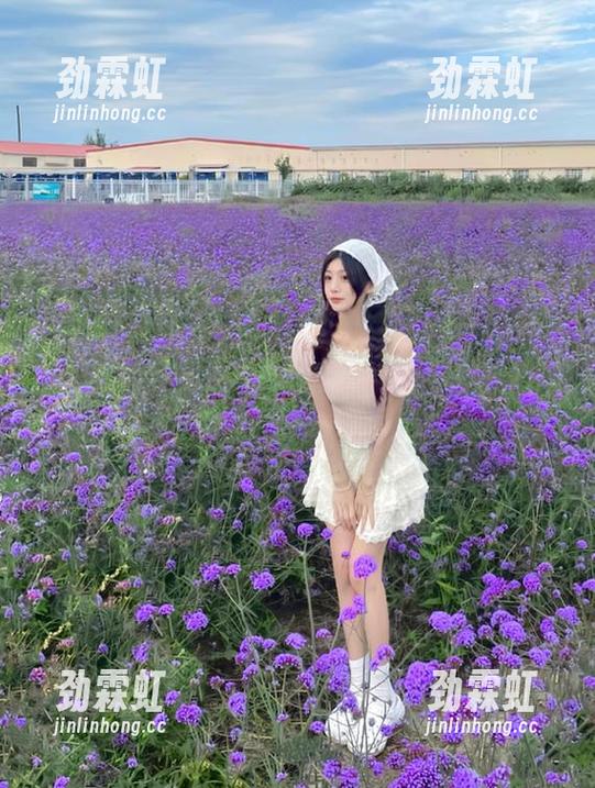 黑料不打烊：夸克浏览器的地址，居然藏着这么多奇葩秘密！快来围观，你绝对想不到！