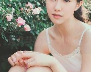 “黑社料”教你如何“永不迷路”，连八卦都能一路畅通无阻